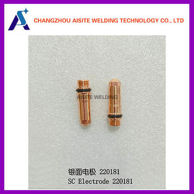 220181 Hyperthermische elektrode 220541 220662 220649 220802 220187 220352 220435